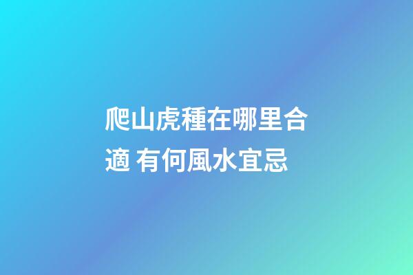爬山虎種在哪里合適 有何風水宜忌